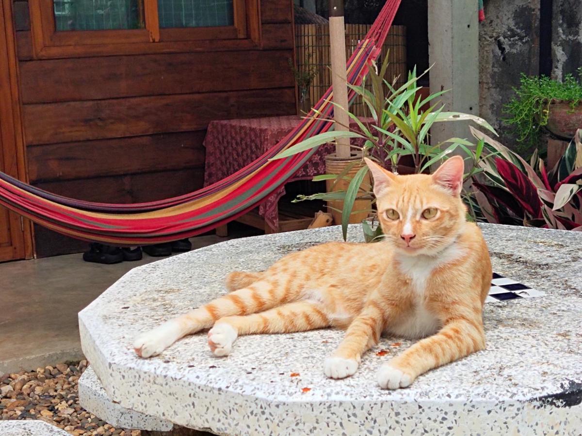 Homestay พืชไทยเชียงคาน