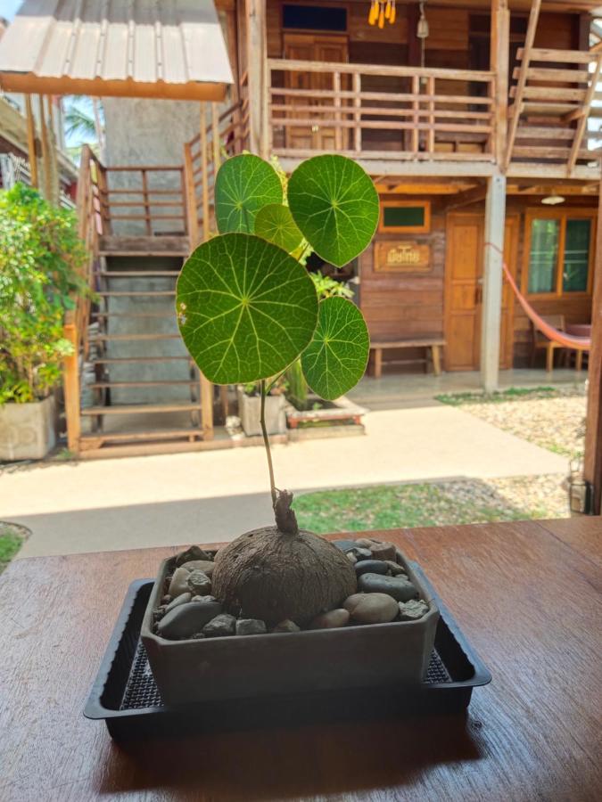 พืชไทยเชียงคาน