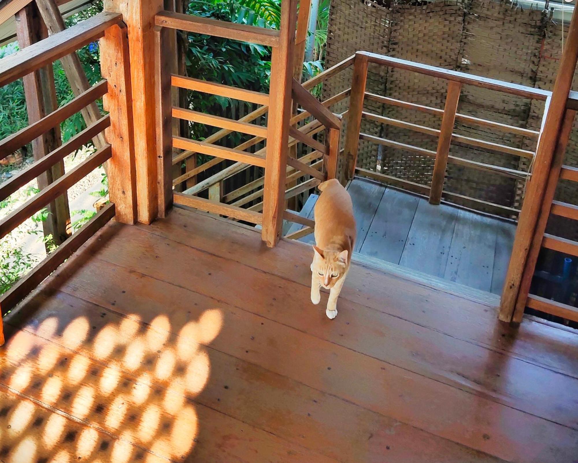 Homestay พืชไทยเชียงคาน